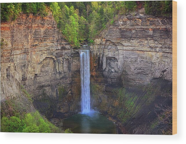Taughannock Falls State Park Wood Print featuring the photograph Taughannock Falls by Raymond Salani III