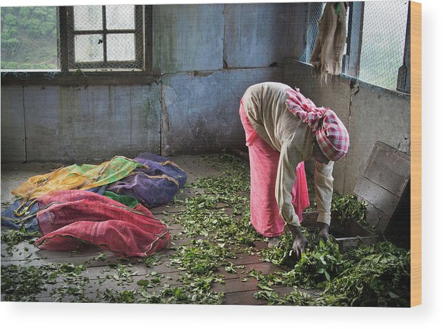 Kerala Wood Print featuring the photograph Tea Factory by Marion Galt