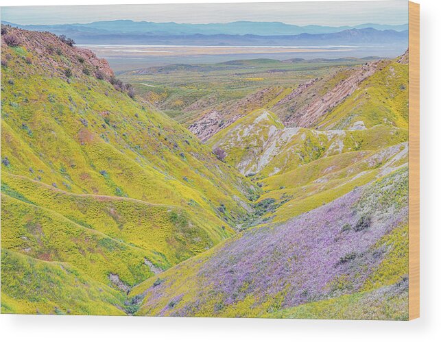 California Wood Print featuring the photograph Temblor Range View to Caliente Range by Marc Crumpler