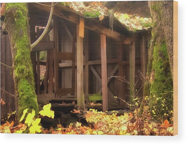 Autumn Color Wood Print featuring the photograph Temporary Shelter by Albert Seger