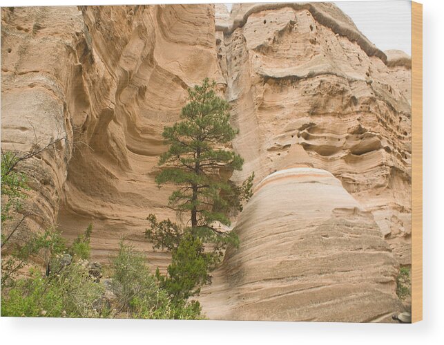 Tent Rock Wood Print featuring the photograph Tent Rock NM View by James Gay