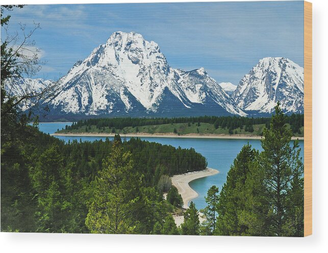 Grand Teton National Park Wood Print featuring the photograph Teton Spring by Greg Norrell