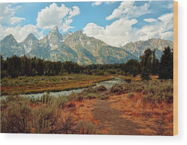 Grand Teton National Park Wood Print featuring the photograph Tetons Grande 5 by Marty Koch