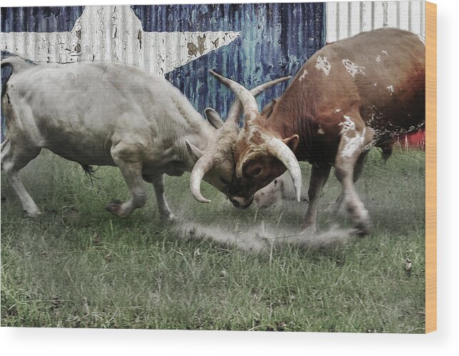 Texas Wood Print featuring the digital art Texas Bull Fight by Brad Thornton