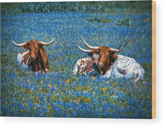 Longhorn Wood Print featuring the digital art Texas in Blue by Linda Unger