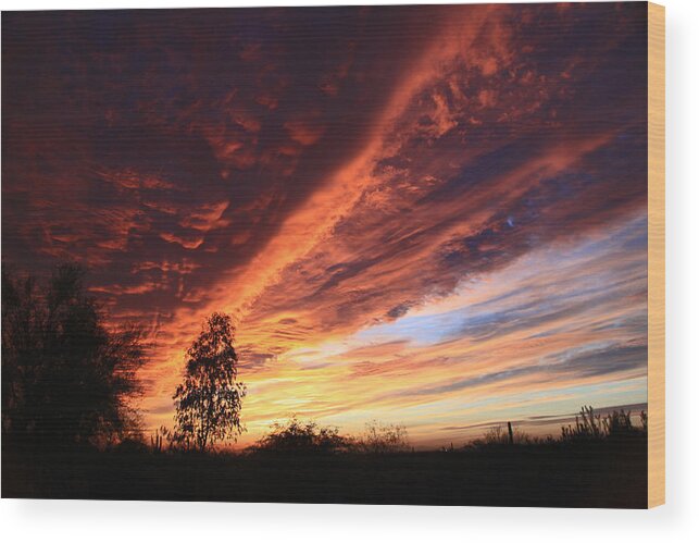 Clouds Wood Print featuring the photograph Thanksgiving Sunset by Gary Kaylor