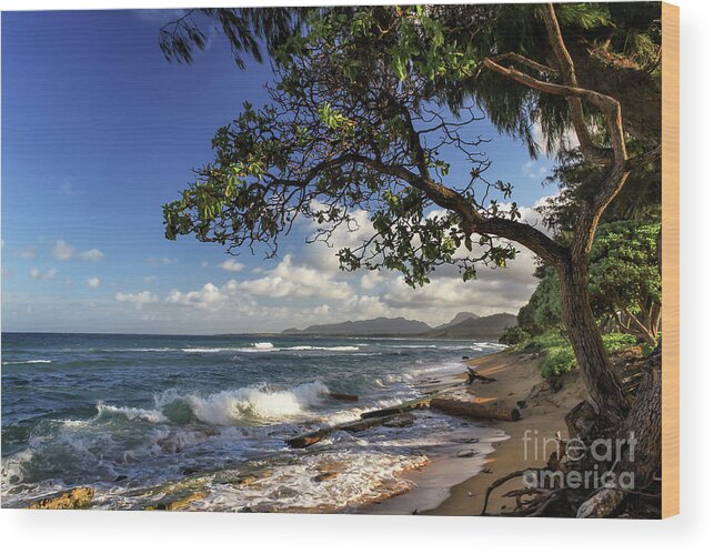 Beach Wood Print featuring the photograph The Beach At Kapaa by James Eddy