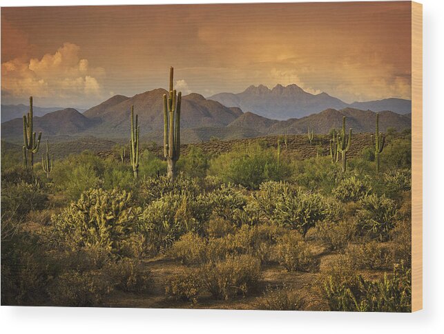 Sunset Wood Print featuring the photograph The Beauty of the Sonoran Desert by Saija Lehtonen