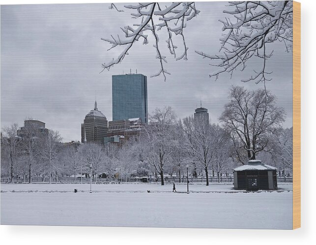 Boston Wood Print featuring the photograph The Boston Common Covered in Snow Winter Boston MA by Toby McGuire