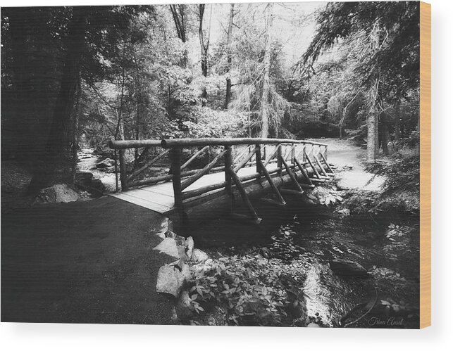 Landscape Wood Print featuring the photograph The Bridge Through the Woods in Black and White by Trina Ansel