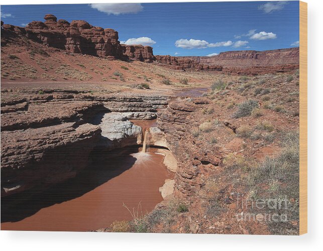 Utah Landscape Wood Print featuring the photograph The Chocolate Ribon by Jim Garrison