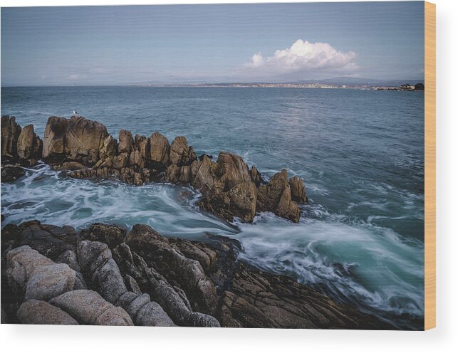 Landscape Wood Print featuring the photograph The Coast at Dusk No.2 by Margaret Pitcher