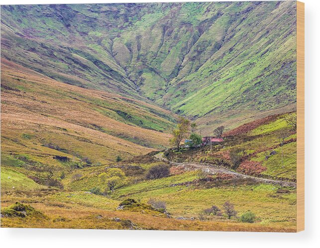 Ireland Wood Print featuring the photograph The Colorful Hills of Connemara by Pierre Leclerc Photography