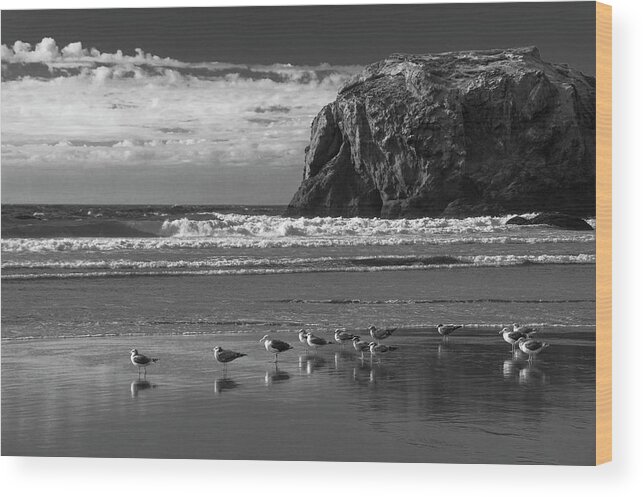 Bandon Beach Wood Print featuring the photograph The Coven by Steven Clark
