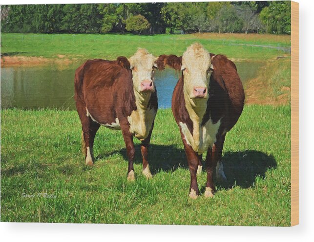 Hereford Wood Print featuring the photograph The Cow Girls by Sandi OReilly