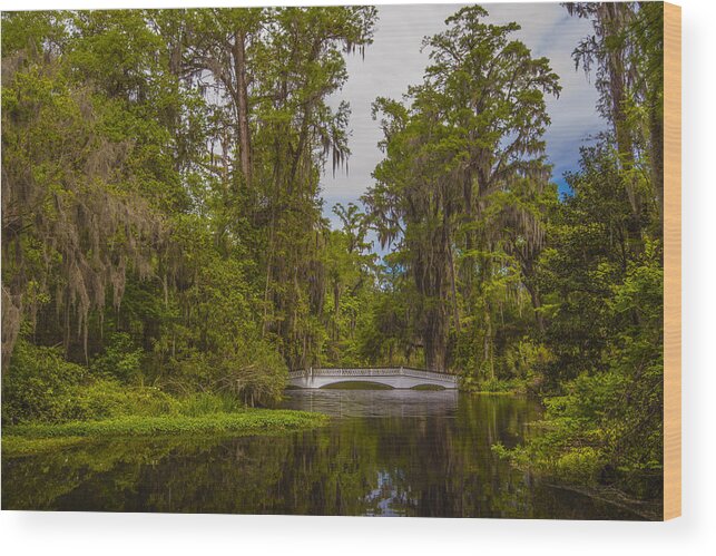 Trees Wood Print featuring the photograph The Cypress Garden by Steven Ainsworth