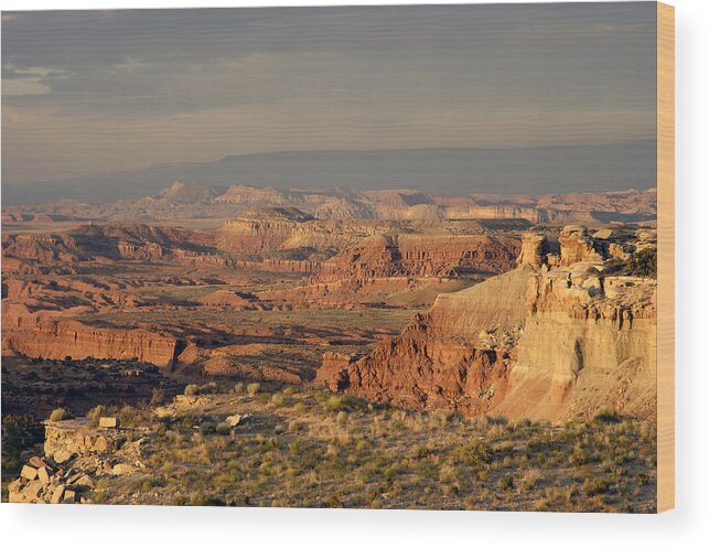 Dead Zone Wood Print featuring the photograph The Dead Zone - Utah by DArcy Evans