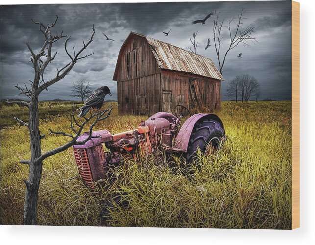 Art Wood Print featuring the photograph The Decline and Death of the Small Farm by Randall Nyhof