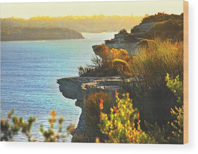 North Head Wood Print featuring the photograph The Details In North Head by Miroslava Jurcik