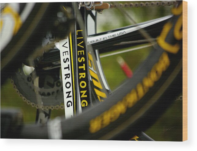 Livestrong Wood Print featuring the photograph The Diving Power by Vicki Pelham