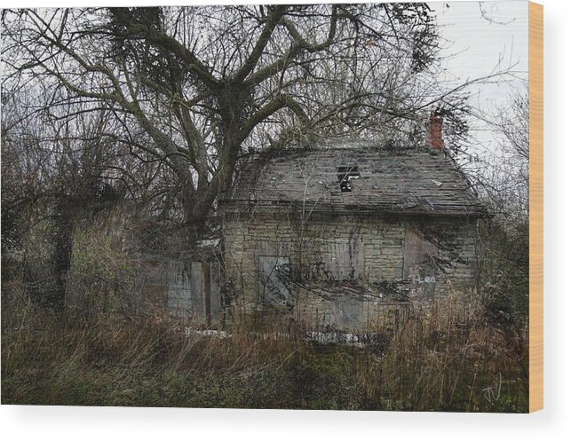 Abandoned Wood Print featuring the photograph The Earth Reclaims by Jim Vance