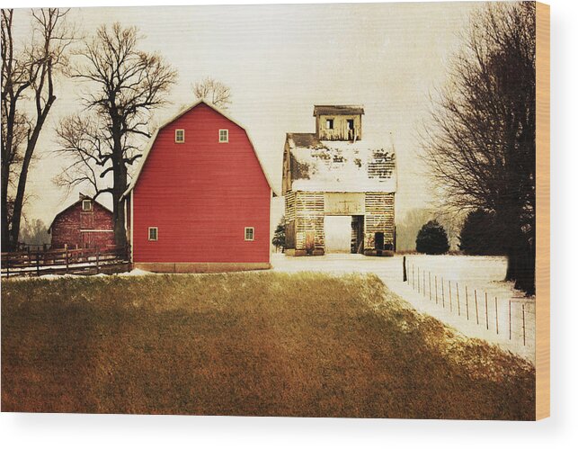 Barn Wood Print featuring the photograph The Favorite by Julie Hamilton
