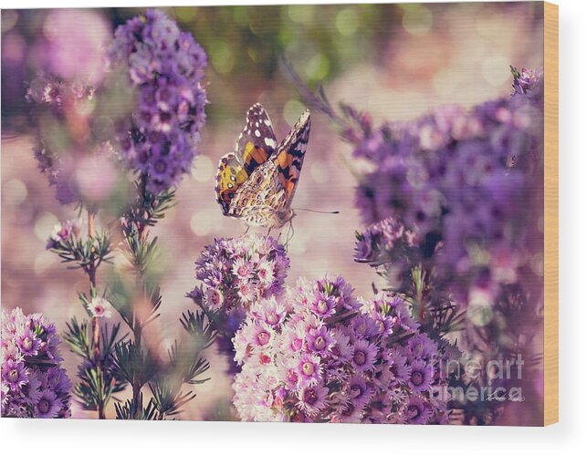 Flower Wood Print featuring the photograph The First Day of Summer by Linda Lees
