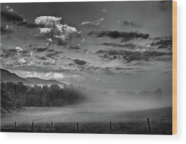 Black And White Wood Print featuring the photograph The Fog Rises In Cades Cove by Randall Evans