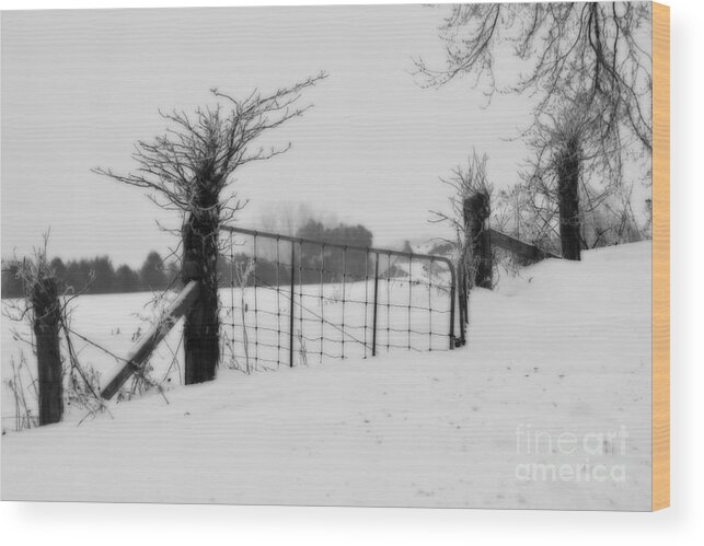 Gate Wood Print featuring the photograph The Frozen Gate black and white by Cathy Beharriell
