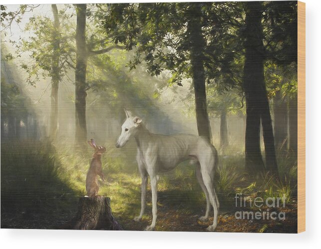 Galgo Wood Print featuring the photograph Dog and the Rabbit by Travis Patenaude