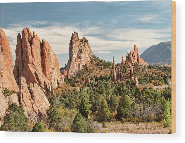 Garden Of The Gods Wood Print featuring the photograph The Garden Of The Gods - Colorado by Kristia Adams