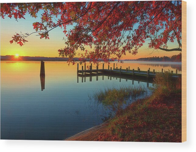 Photograph Wood Print featuring the photograph The Glassy Patuxent by Cindy Lark Hartman