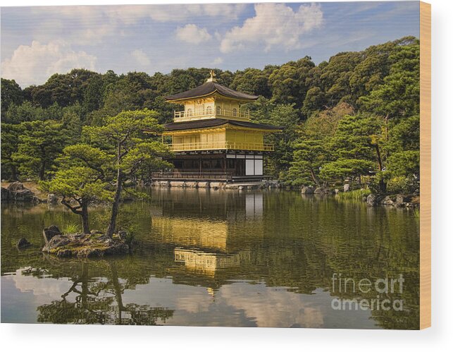 Colour Wood Print featuring the photograph The Golden Pagoda in Kyoto Japan by David Smith