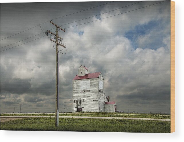 Art Wood Print featuring the photograph The Grain Elevator in Dog River by Randall Nyhof