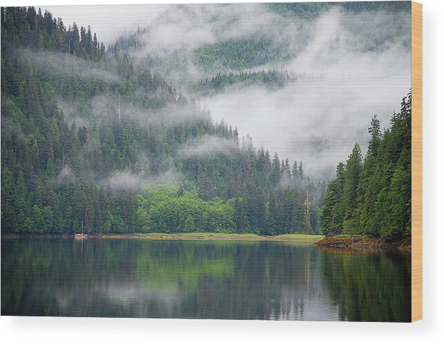 Bears Wood Print featuring the photograph The Great Canadian North by Bill Cubitt