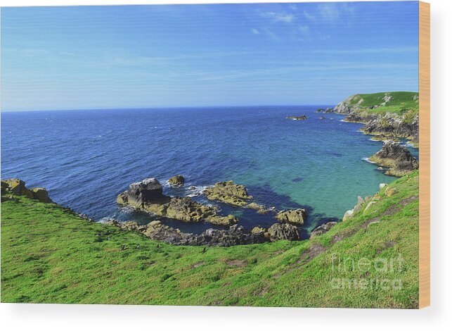 Saltee Island Wood Print featuring the photograph The Greater Saltee Island by Joe Cashin