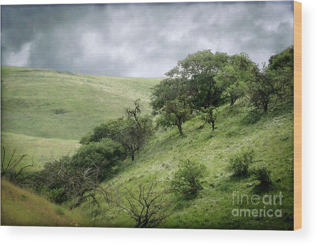 Landscape Wood Print featuring the photograph The Green Hills of Home by Ellen Cotton