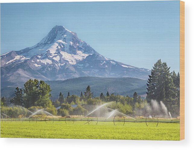 Mount Hood Wood Print featuring the photograph The Greening of Hood River Valley by Sylvia J Zarco