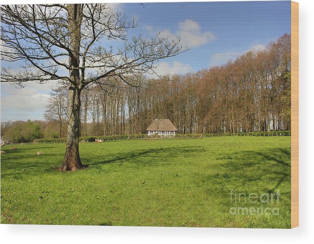 Grounds Wood Print featuring the photograph The Grounds of St Fagans by Vicki Spindler