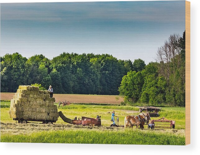 Mennonite Wood Print featuring the photograph The Hay Bales by Brent Buchner