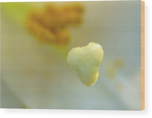 Lily Wood Print featuring the photograph The Heart of a Lily by Wanda Brandon