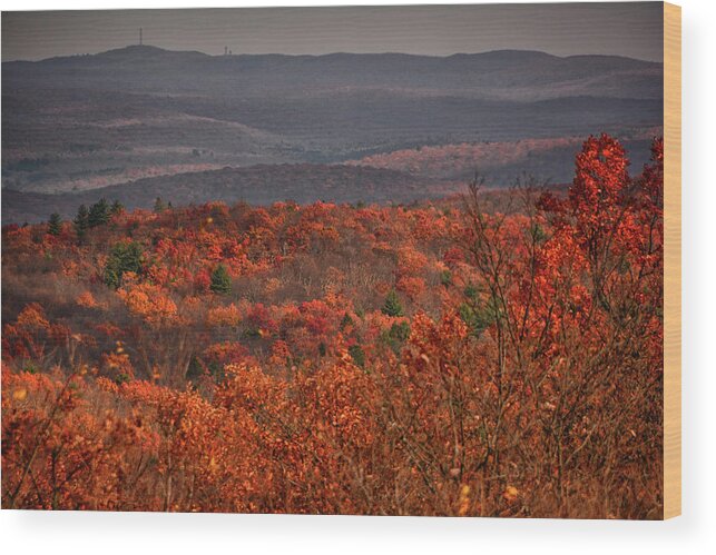 High Point State Park Wood Print featuring the photograph The Hills to High Point by Raymond Salani III