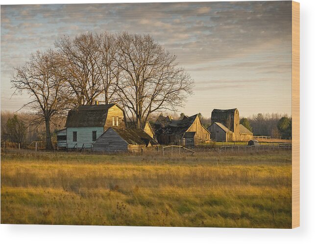 Barn Wood Print featuring the photograph The Homestead by Steve L'Italien