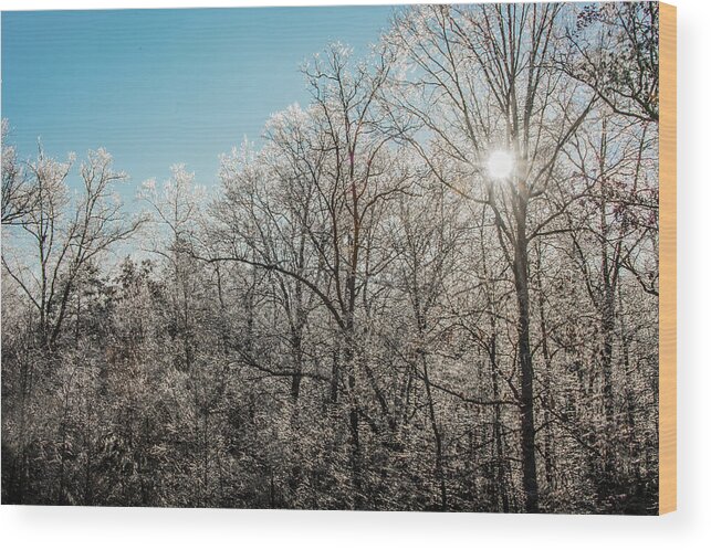 Ice Wood Print featuring the photograph The Ice Storm by Penny Lisowski