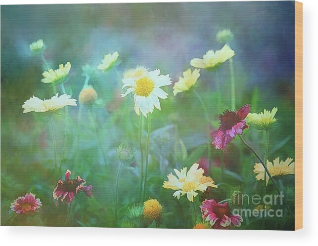 Flowers Wood Print featuring the photograph The Joy of Summer Flowers by Anita Pollak