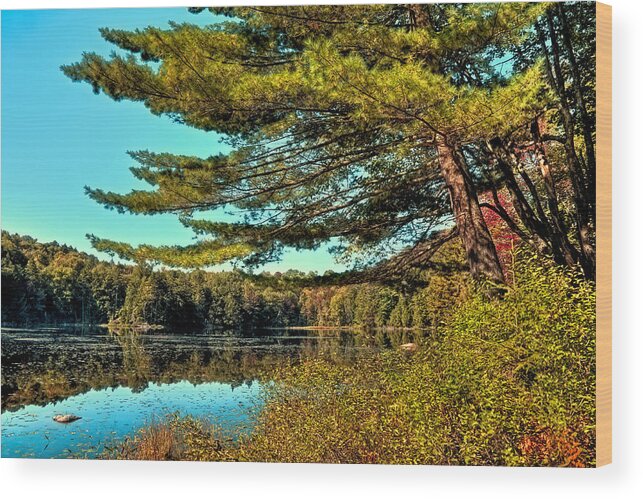 The Little Known Cary Lake Wood Print featuring the photograph The Little Known Cary Lake by David Patterson