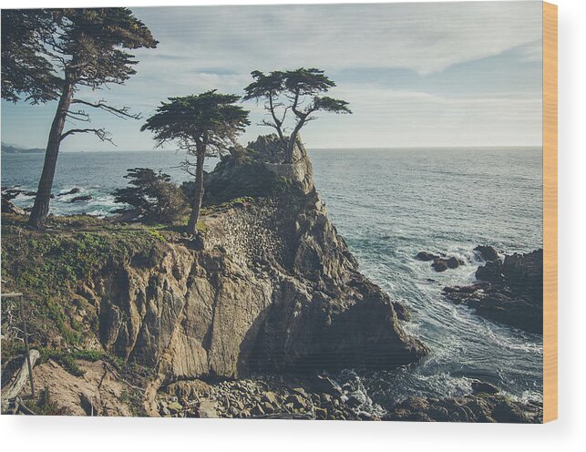 Landscape Wood Print featuring the photograph The Lone Cypress No.2 by Margaret Pitcher