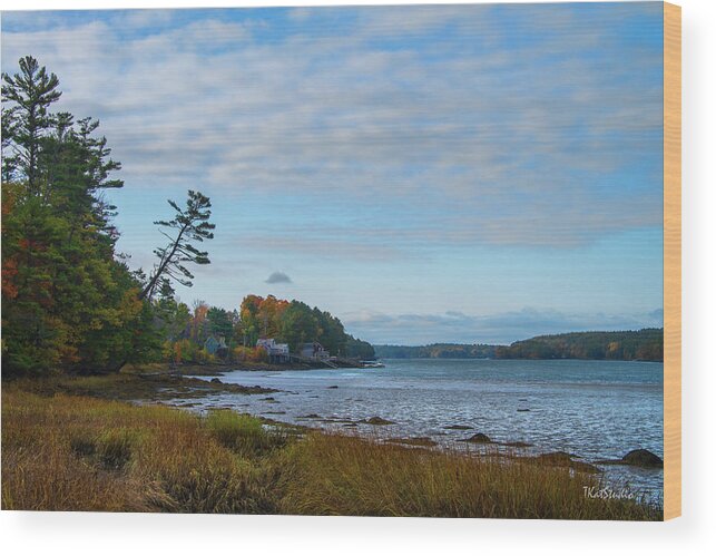 Edgecomb Wood Print featuring the photograph The Maine Coast near Edgecomb by Tim Kathka