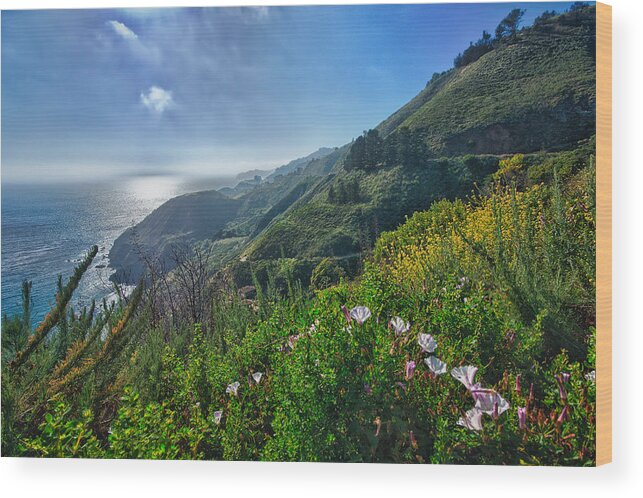 Beach Wood Print featuring the photograph The mountains of Highway Nr. 1 - California by Andreas Freund