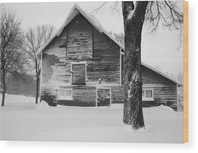 Barn Wood Print featuring the photograph The Old Barn by Julie Lueders 